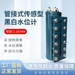 280mm管接式传感型黑白水位计